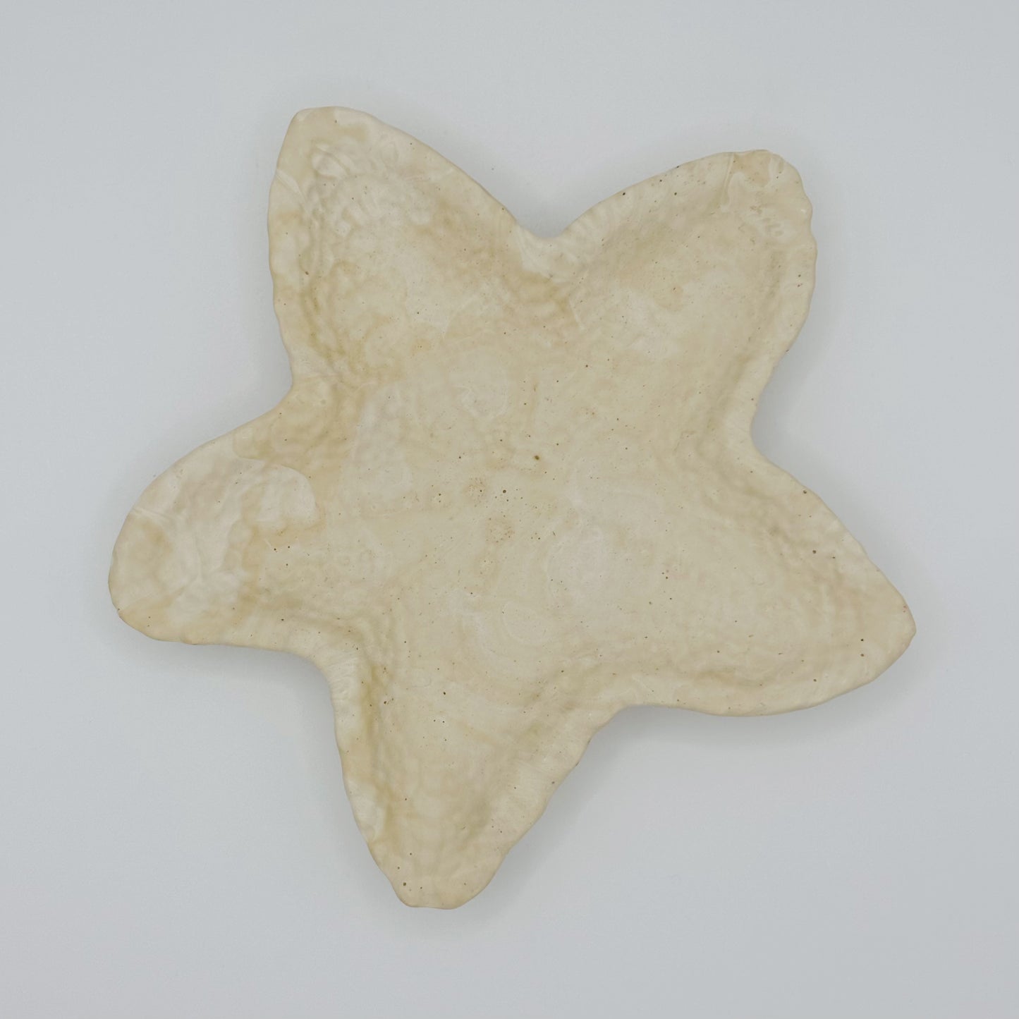 Vide poches étoile de mer