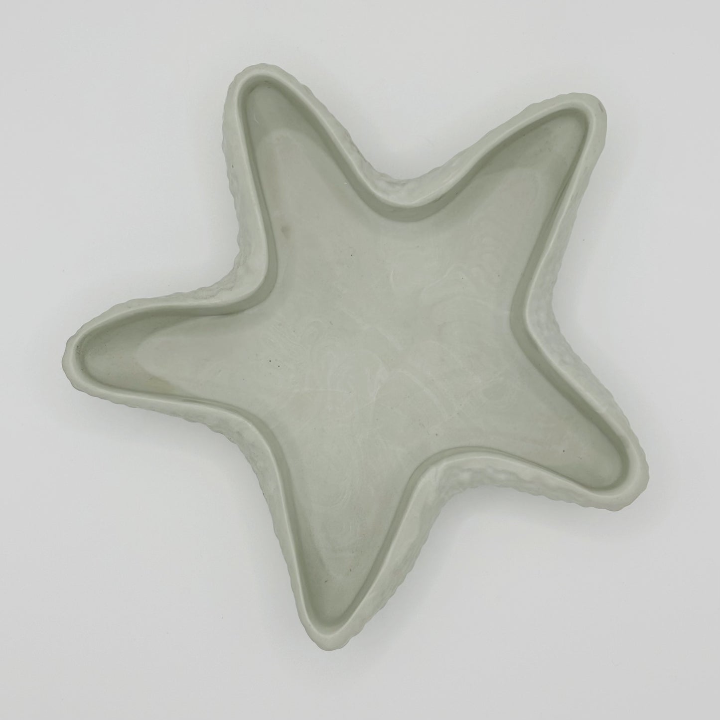 Vide poche étoile de mer