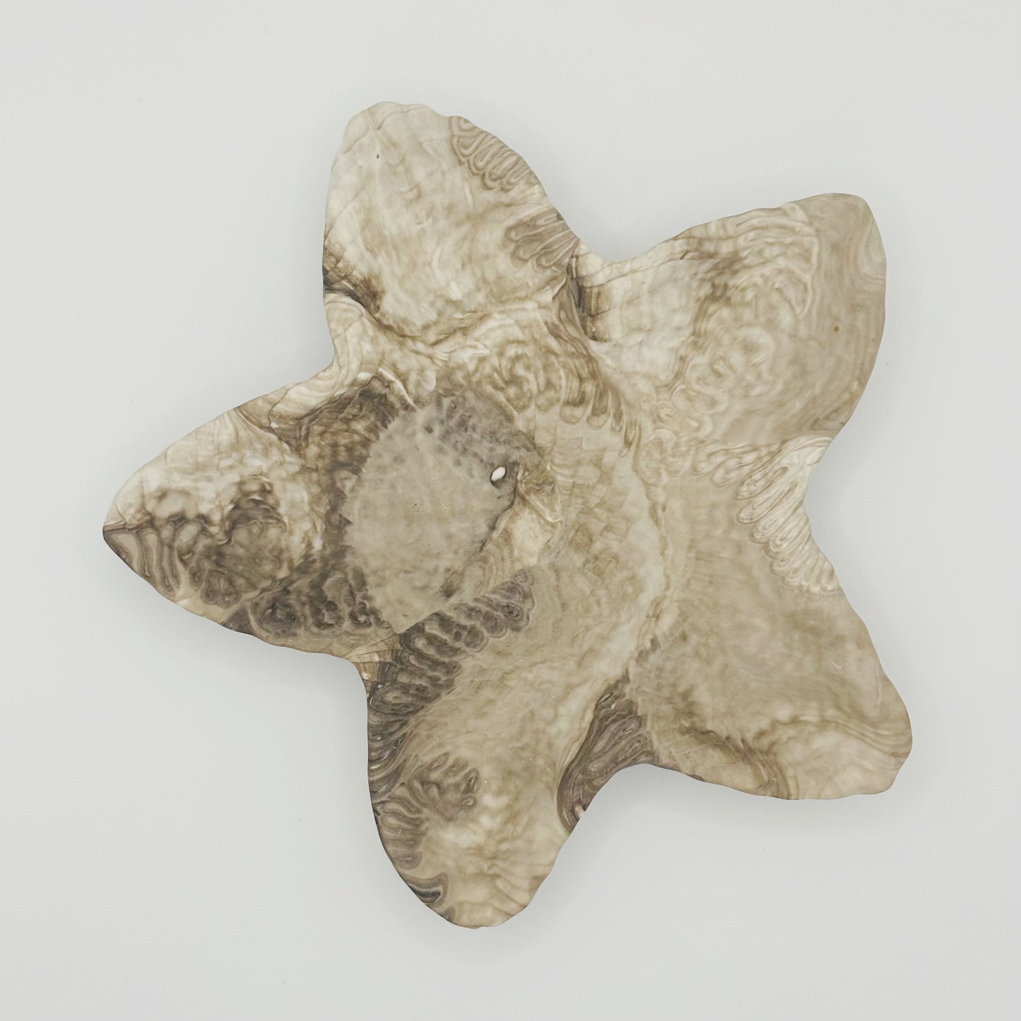 Vide poches étoile de mer