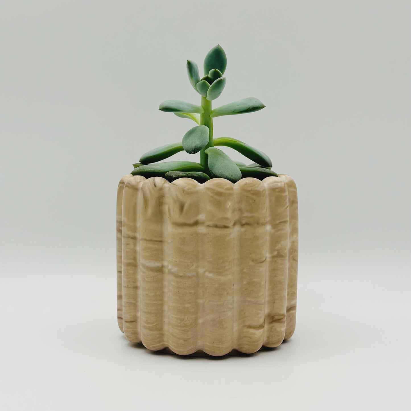 Cache-pots