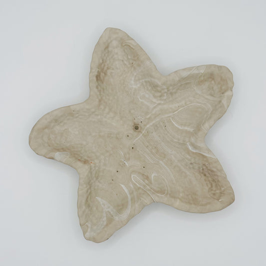 Vide poches étoile de mer