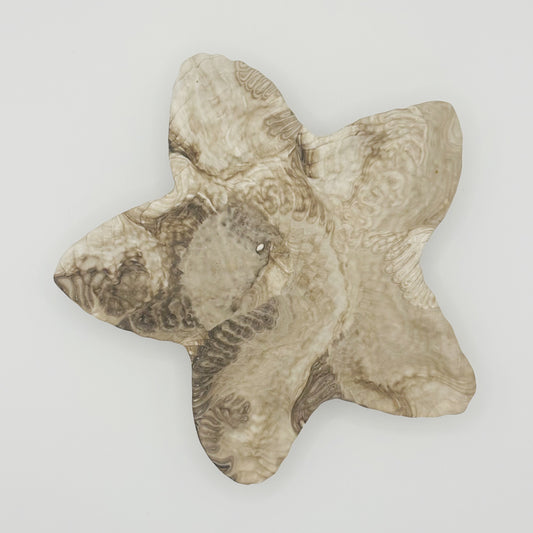 Vide poches étoile de mer
