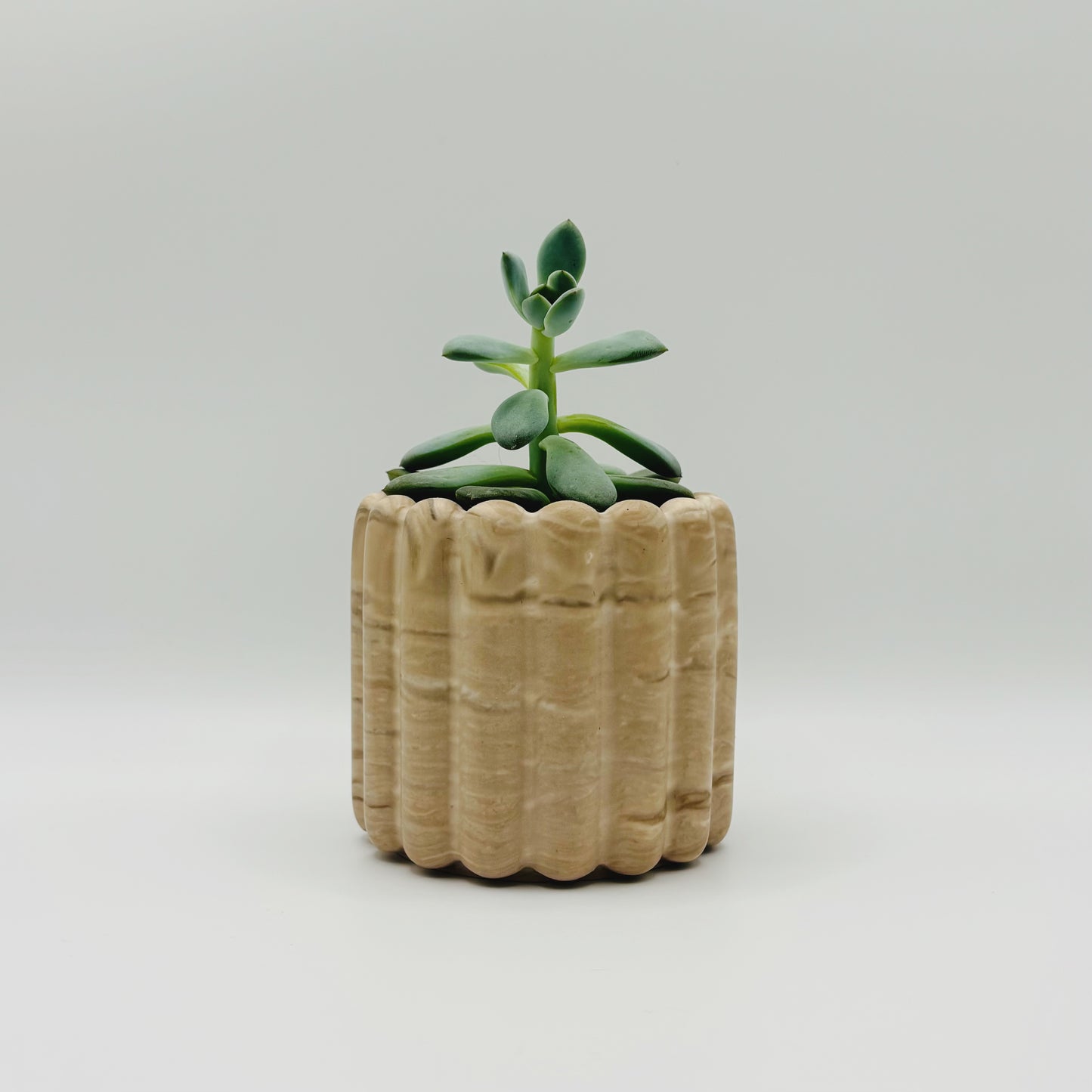 Cache-pots